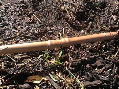 a drip irrigation installed in Lafayette
