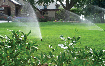 Our Lafayette Sprinkler Repair team installs rotary head systems